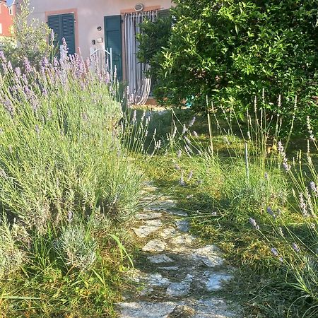 La Casa Di Ulivi Villa Piano di Follo Eksteriør billede