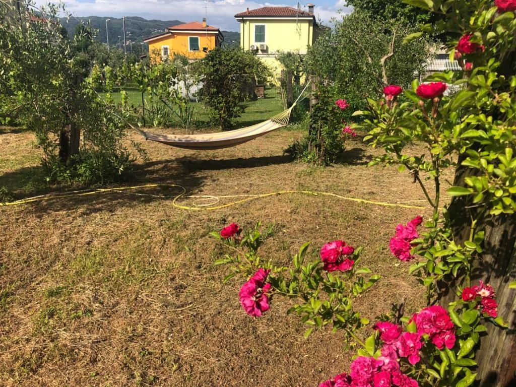 La Casa Di Ulivi Villa Piano di Follo Eksteriør billede