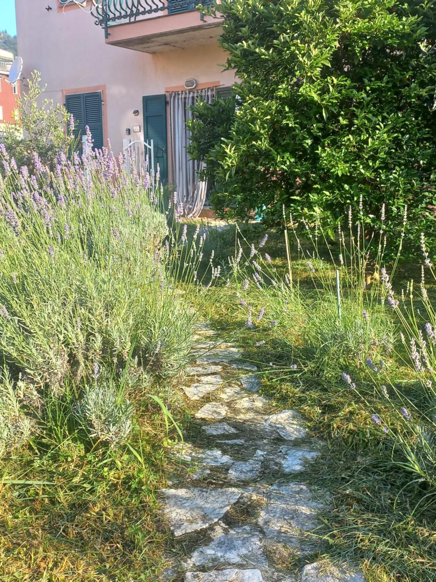 La Casa Di Ulivi Villa Piano di Follo Eksteriør billede